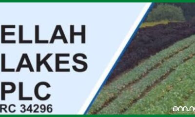 Ellah Lakes Plc appoints interim