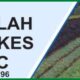 Ellah Lakes Plc appoints interim