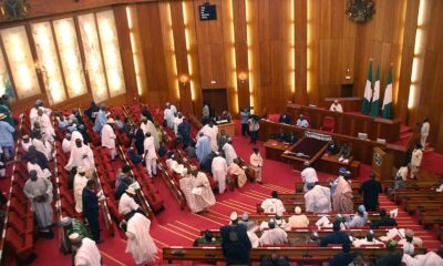 National Assembly budget is too low - Reps alleges