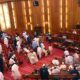 National Assembly budget is too low - Reps alleges