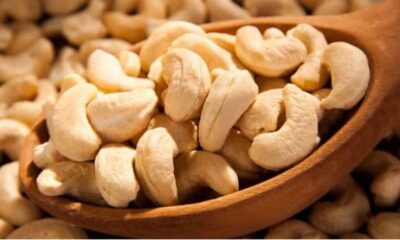 National Cashew Association of Nigeria appoints new acting president