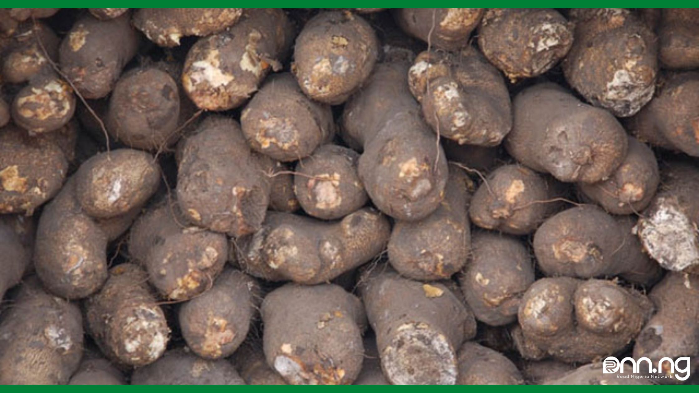 Nigeria leads in Yam production