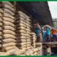 Nigerian agricultural imports jump to N512.9 billion