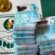 2023: INEC releases timetable for Collection of PVCs