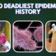 Top 10 Deadliest Epidemics in History