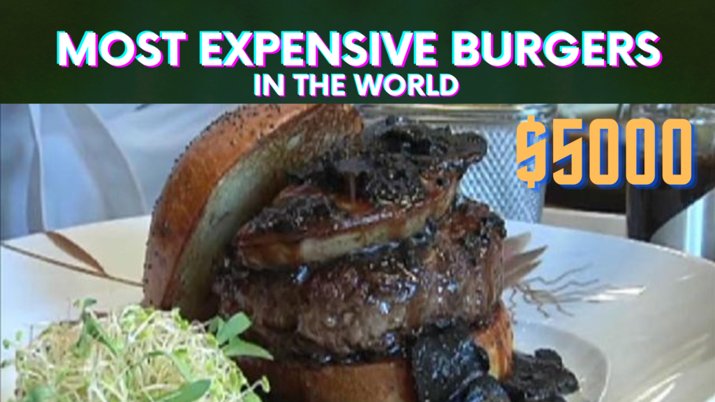 top-10-most-expensive-burgers-in-the-world