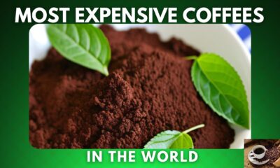 Most Expensive Coffees In the World