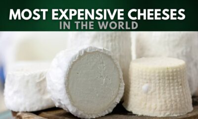Most Expensive Cheeses in the World