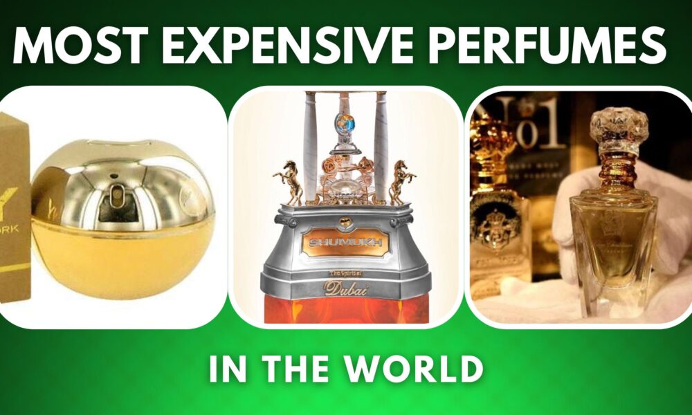 Top 10 Most Expensive Perfumes In The World 2023 2839