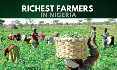 Richest Farmers in Nigeria