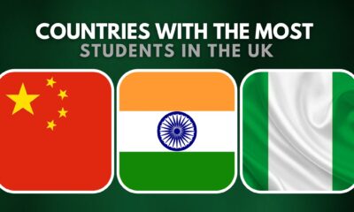 Top 10 Countries with the Most Students in the UK - RNN