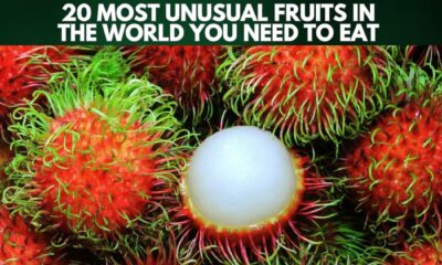 20 Most Unusual Fruits In The World You Need To Eat