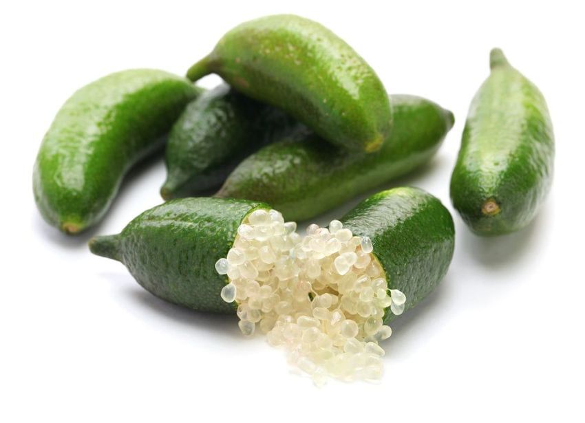 Austrailia Finger Lime Fruit
