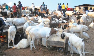 Don’t borrow to buy Salah ram, Ilorin Imam cautions Muslims