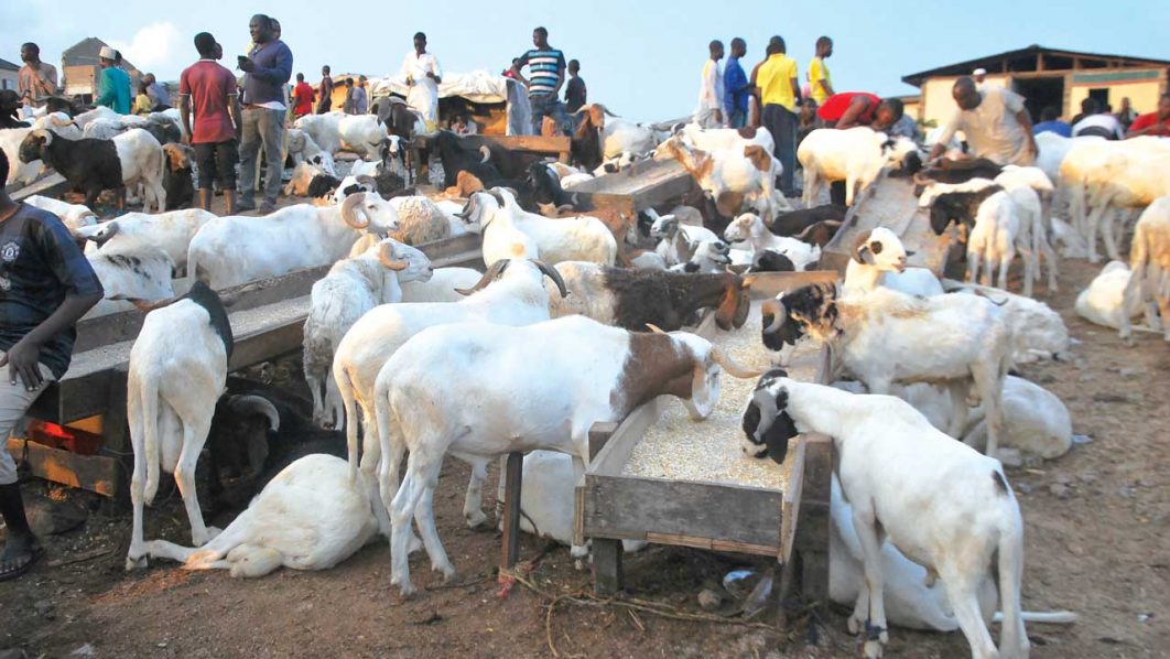 Don’t borrow to buy Salah ram, Ilorin Imam cautions Muslims