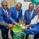 Eko Rice: Sanwo-Olu takes rice to commodities market, seeks investment