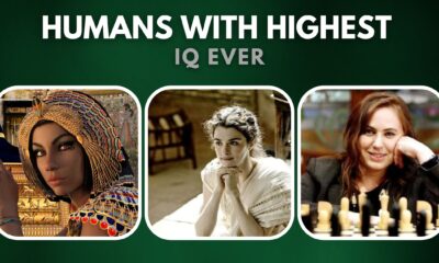 Top 10 Humans with Highest IQ Ever