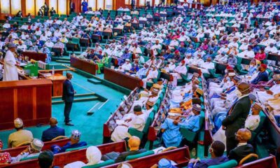 Japa: Reps reject motion to stop Nigerian youths from migrating