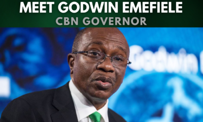 Meet Godwin Emefiele, Governor of the Central Bank of Nigeria