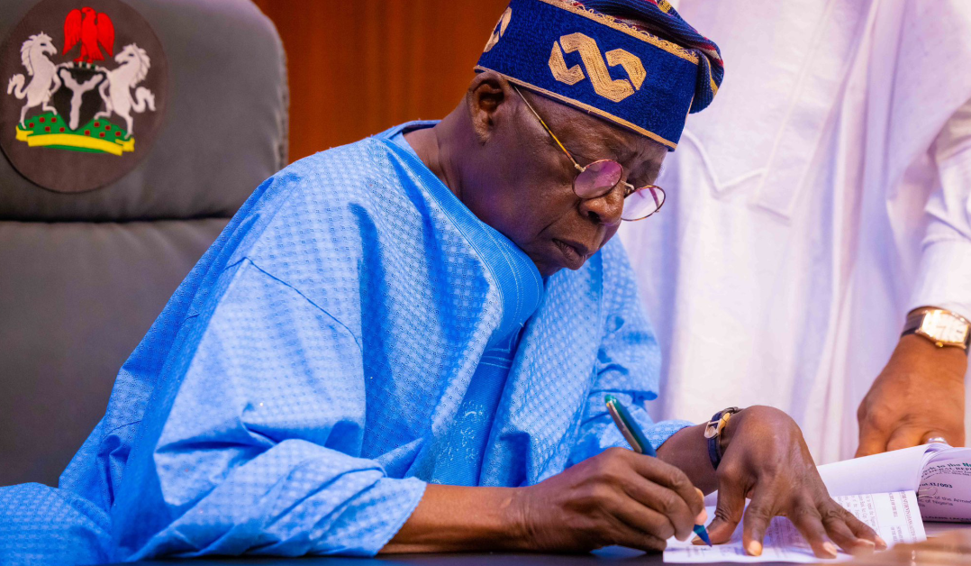 Tinubu Appoints Special Advisers