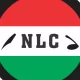 NLC bemoans planned Electricity Hike, says Government is being Insensitive