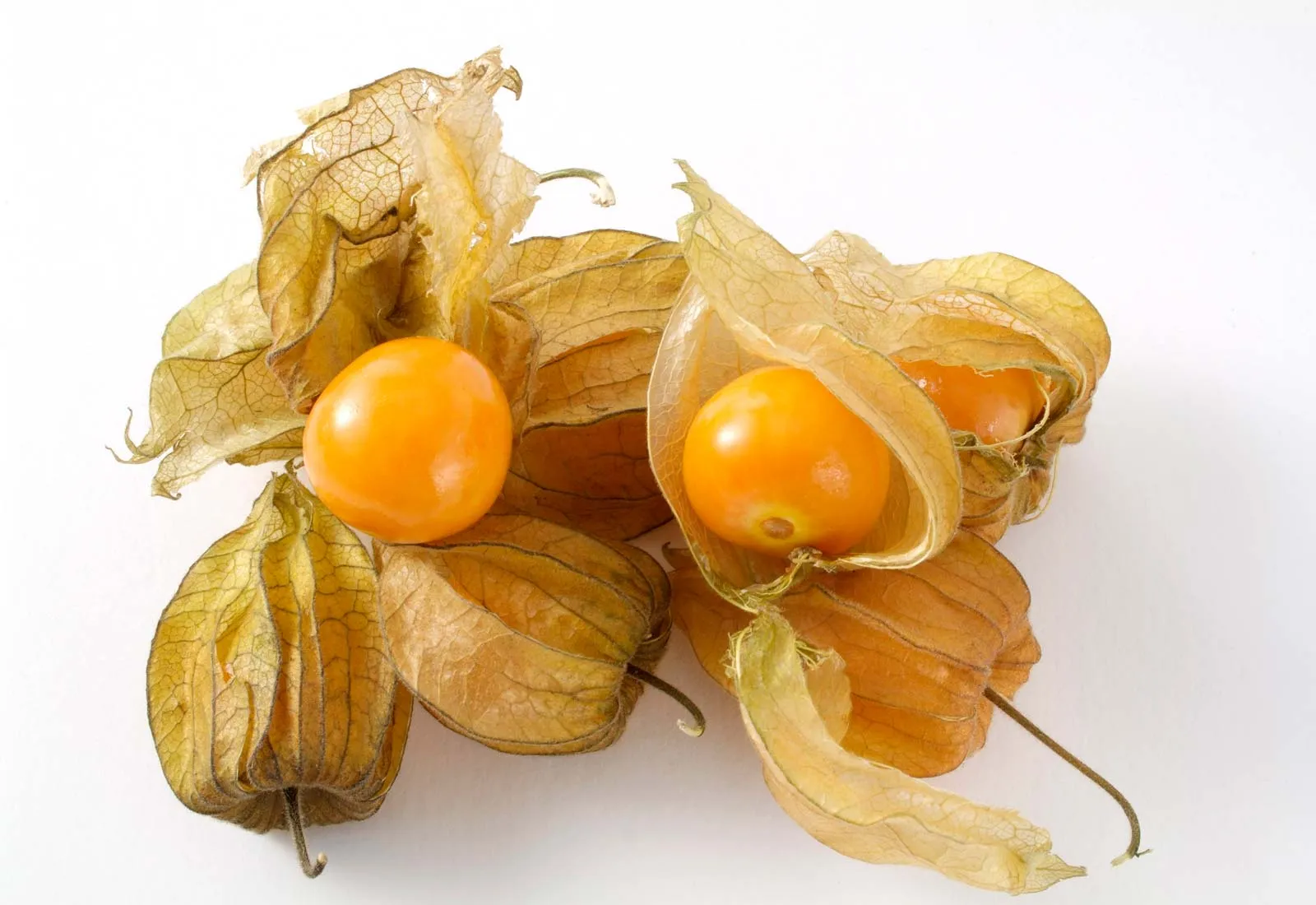 physalis fruits