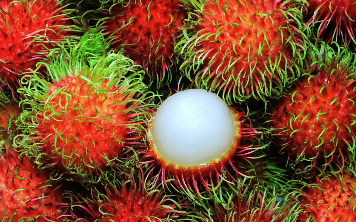 rambutan-fruit