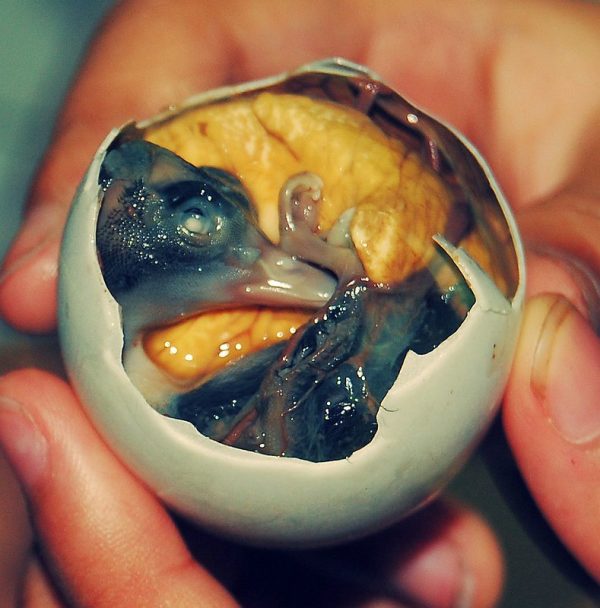 Balut (Philippines)