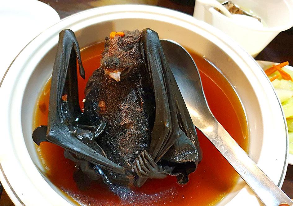 Bat unconventional Soup