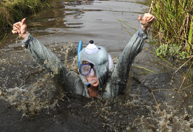  Bog Snorkeling competition