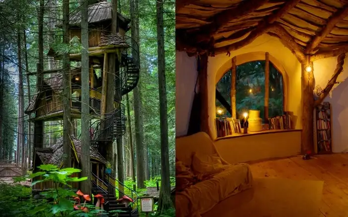 castle treehouse