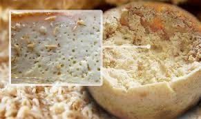 Casu Marzu (Italy)