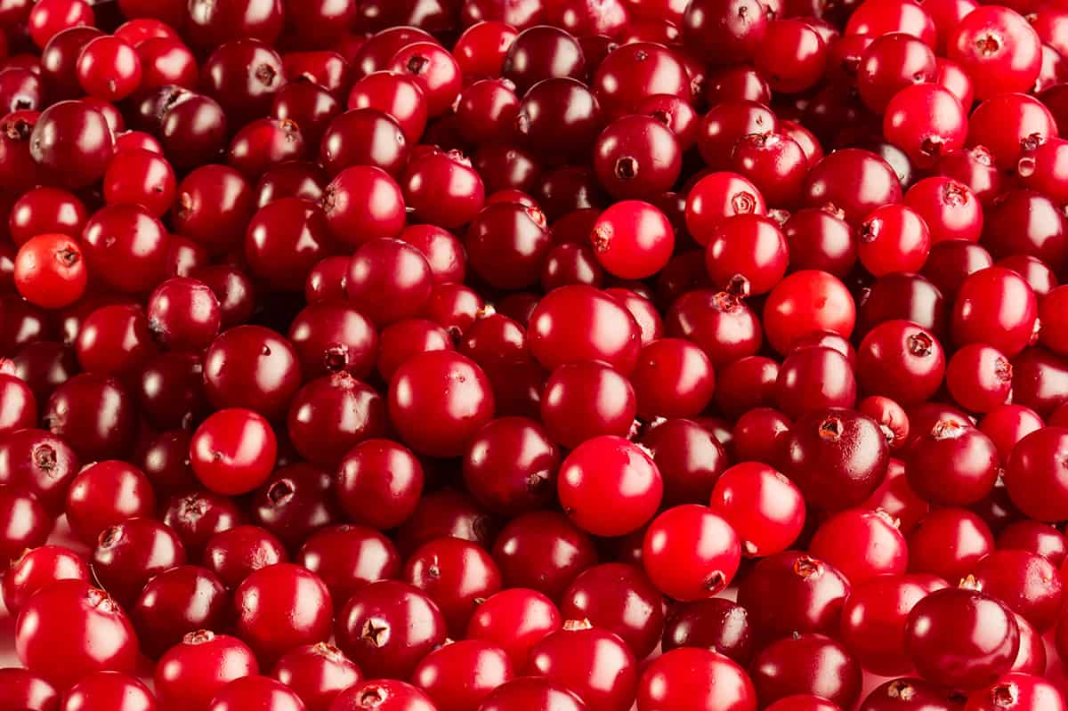 Surprising Cranberry Juice Benefits