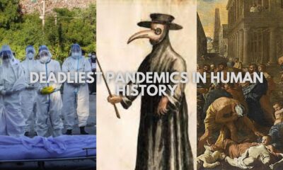 Deadliest Pandemics in Human History - RNN