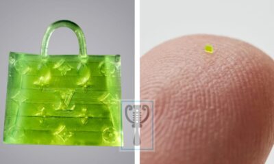 Microscopic Handbag ‘smaller than a grain of salt’ sells for over $63,000