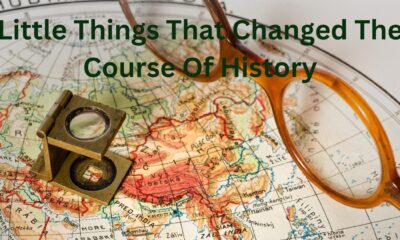 Little Things That Changed The Course Of History
