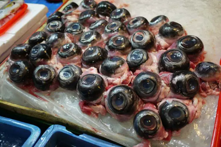 Medama (Tuna Eyeballs) – Japan