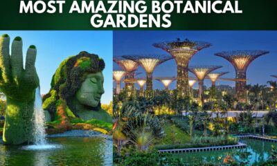 Most Amazing Botanical Gardens (Top 10)