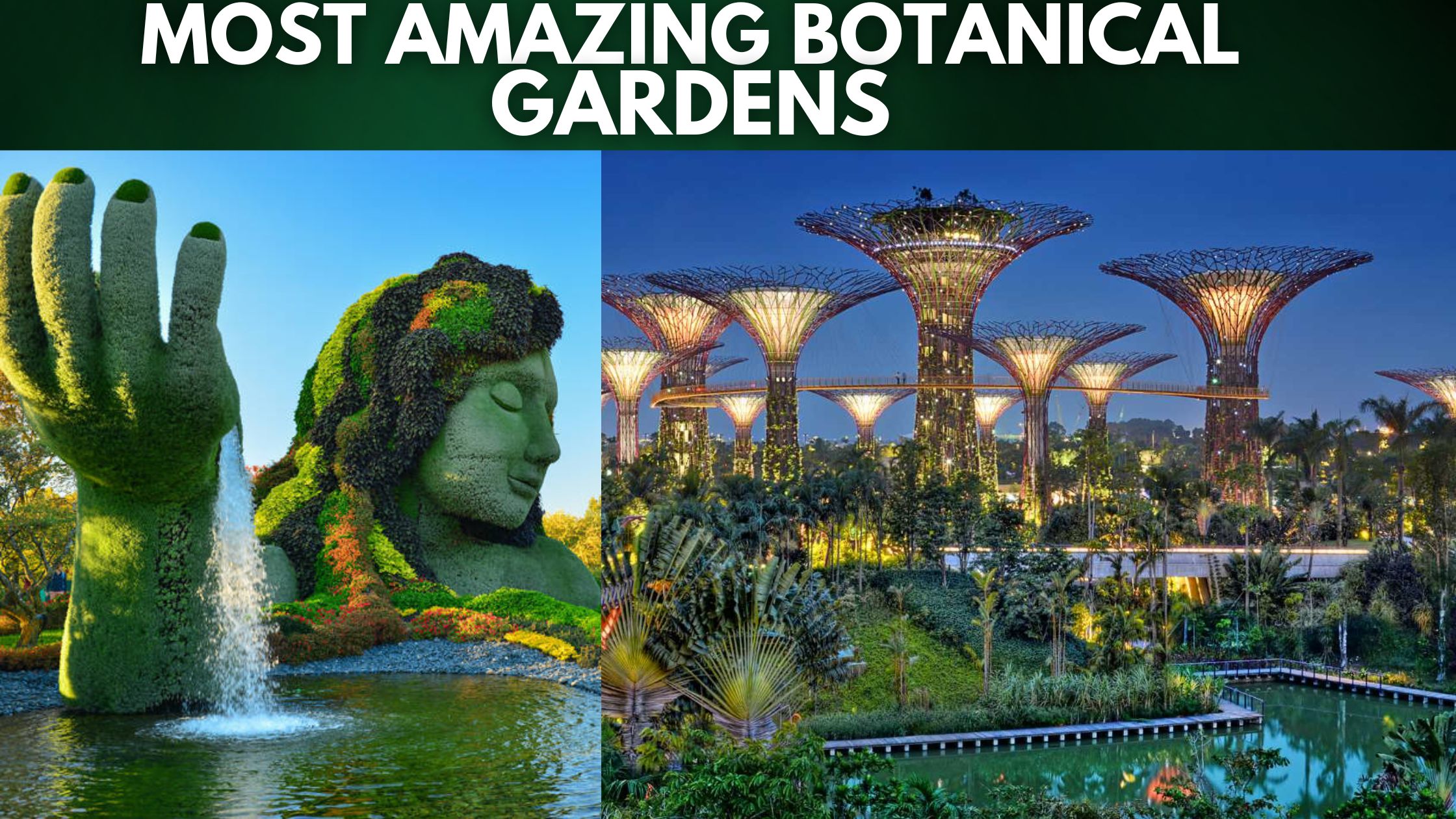 Most Amazing Botanical Gardens (Top 10)