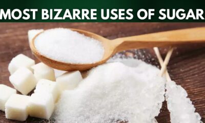 Most Bizarre Uses of Sugar