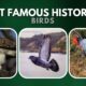 Most Famous Historical Birds
