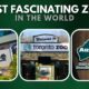 Most Fascinating Zoos in the World
