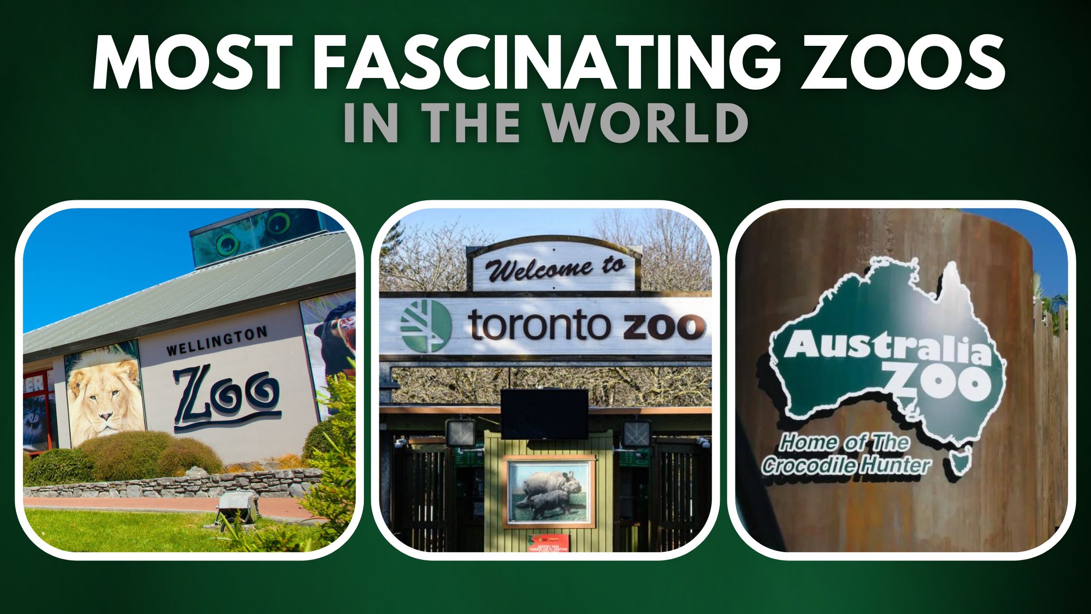 Most Fascinating Zoos in the World