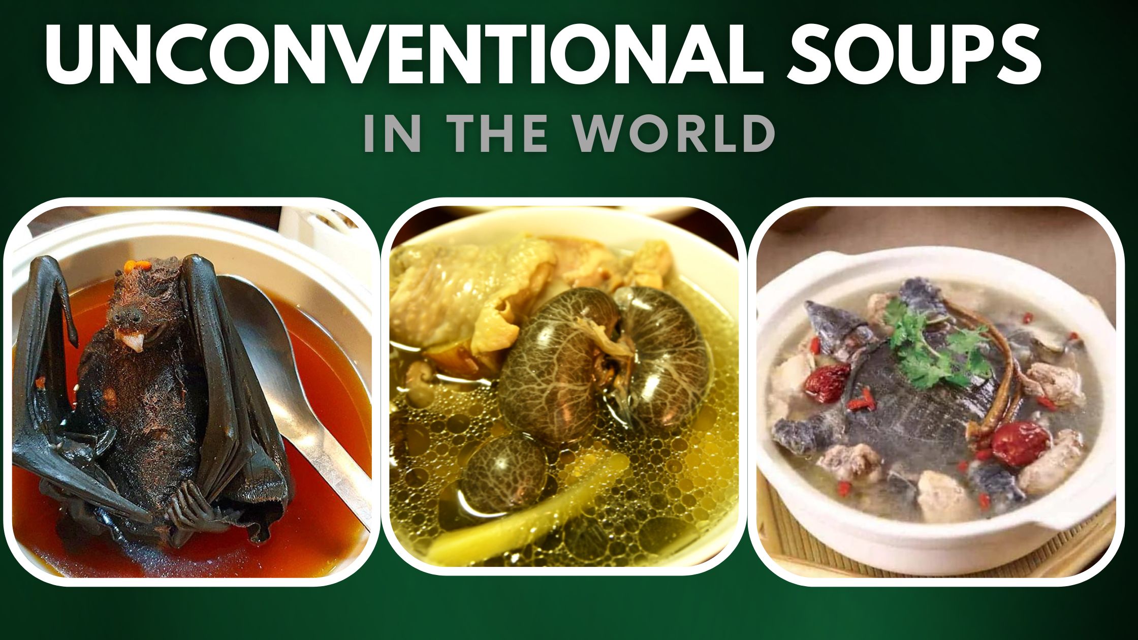 Most Unconventional Soups In The World