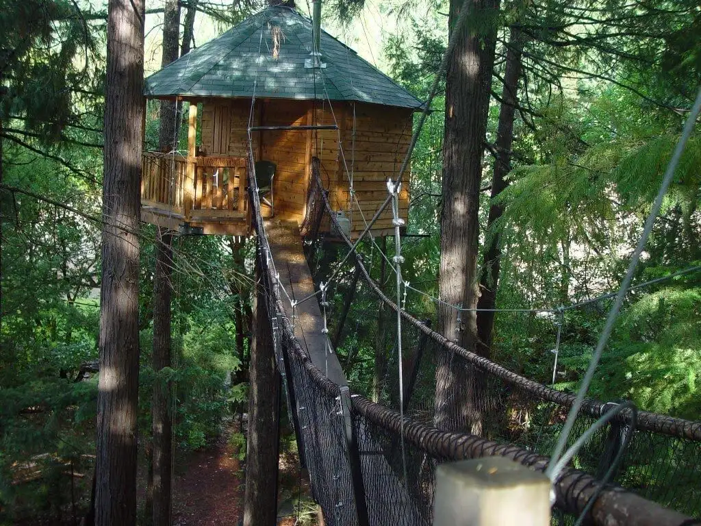 Out-N-About-Treehouse