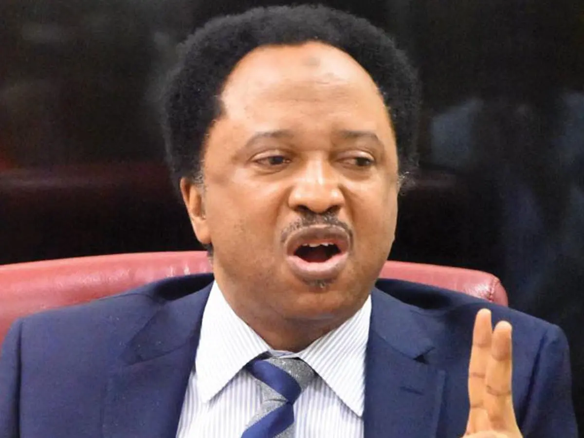 Only God can save Tinubu, if he loses election petition - Shehu Sani