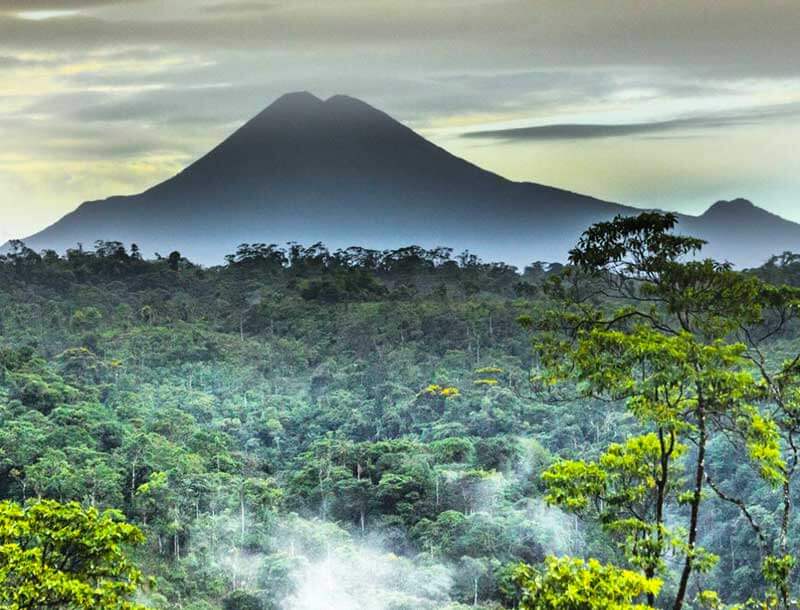 Sumaco Napo-Galeras National Park, Ecuador