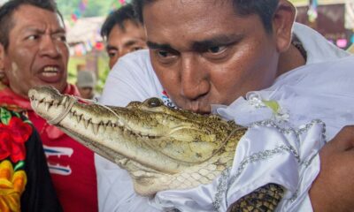 Mexican Mayor marries female crocodile in harvest ritual