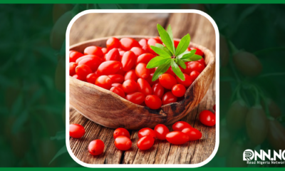 Top Miraculous Goji Berries Health Benefits