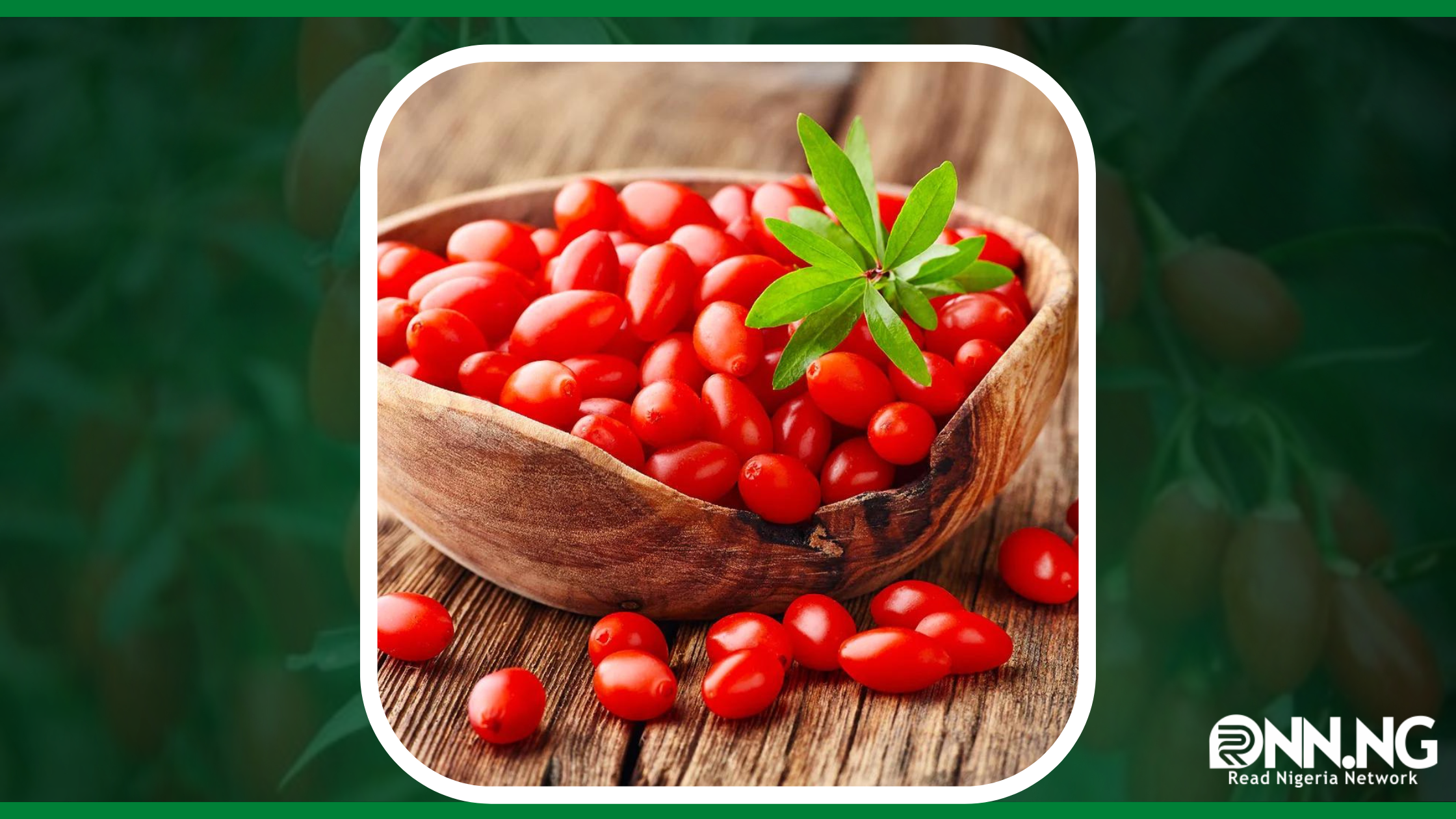 Top Miraculous Goji Berries Health Benefits